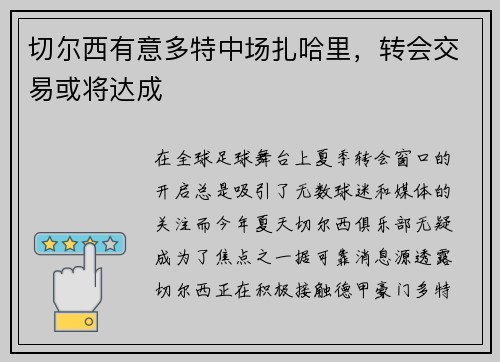切尔西有意多特中场扎哈里，转会交易或将达成